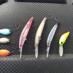 2ヶ月半ぶり釣行